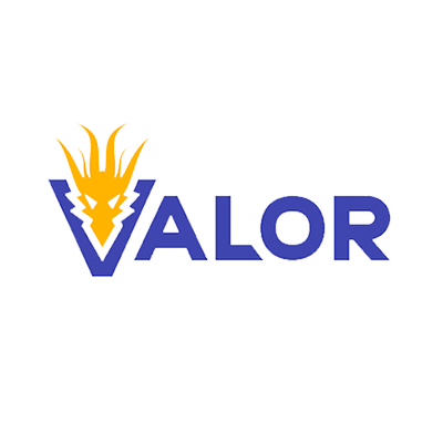 Логотип казино Valor Roulette логотип