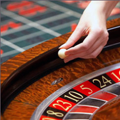 Relaxed Roulette System logo